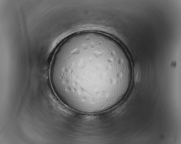 X0000115621501200911241611