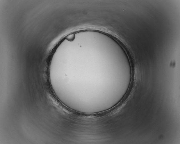 X0000115621502200911241611