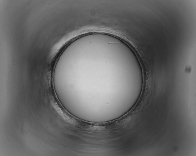 X0000115621503200911241611