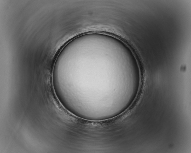 X0000115621505200911241611