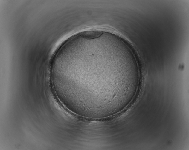 X0000115621506200911241611