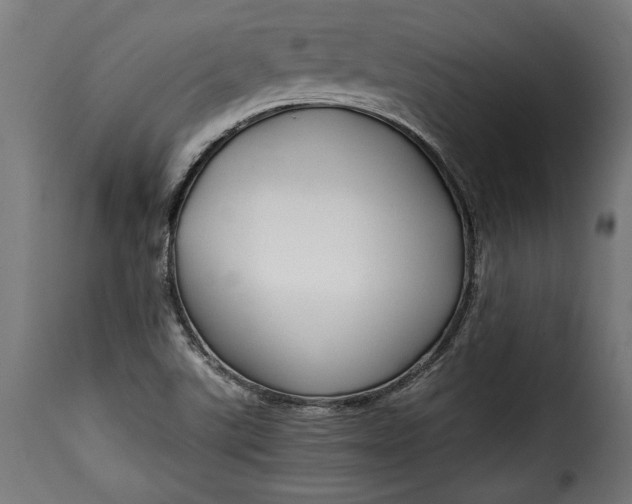 X0000115621507200911241612