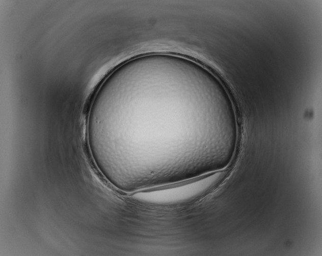 X0000115621509200911241612