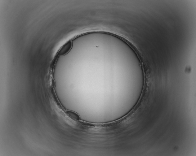 X0000115621510200911241612