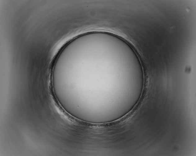 X0000115621511200911241612