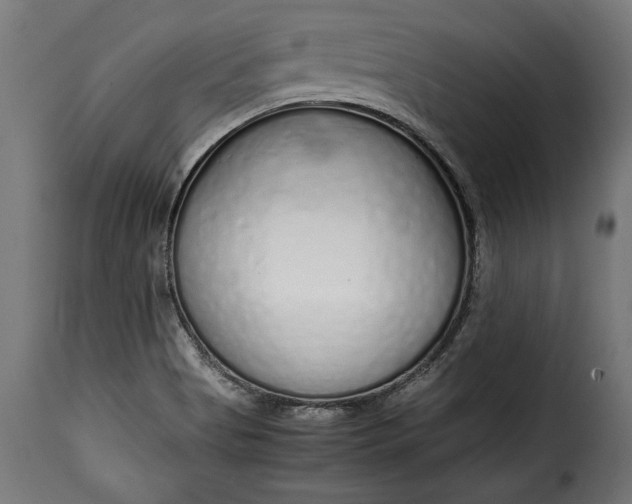 X0000115621513200911241612