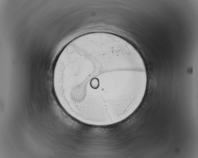 X0000115621514200911241612