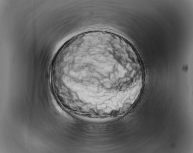 X0000115621515200911241612