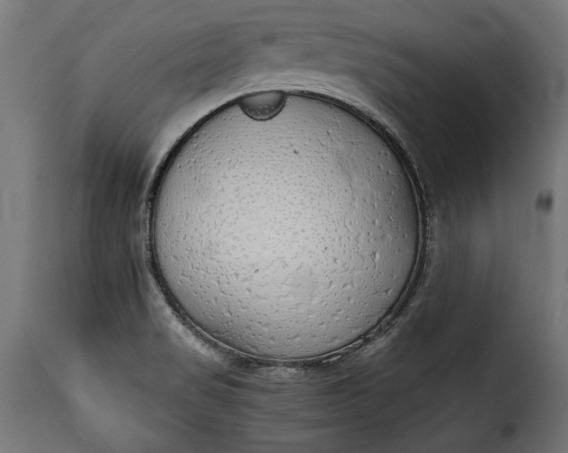 X0000115621517200911241612