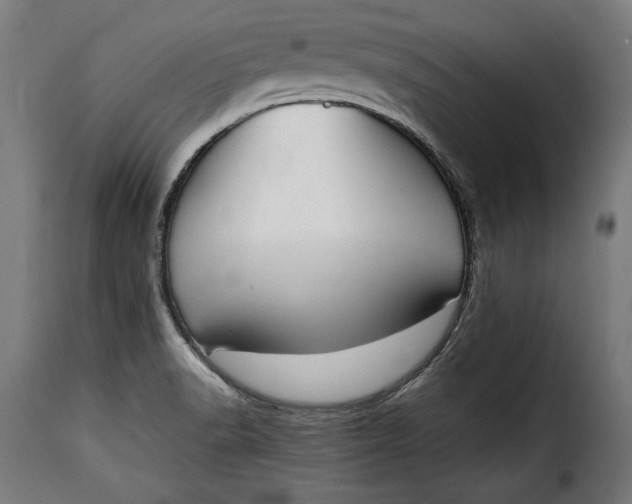 X0000115621518200911241612