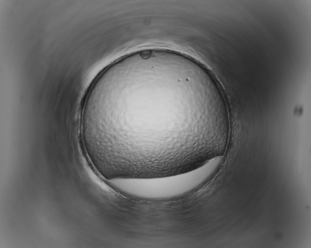 X0000115621519200911241612