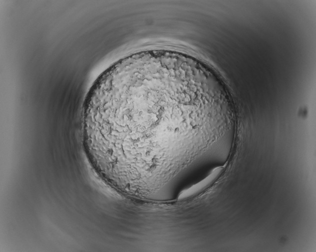 X0000115621522200911241612