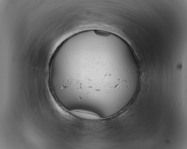 X0000115621523200911241612