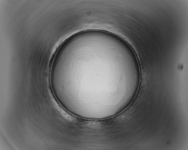 X0000115621525200911241612