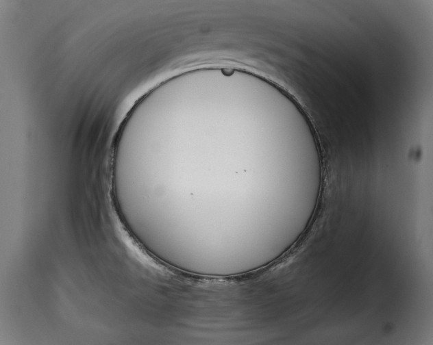 X0000115621526200911241612