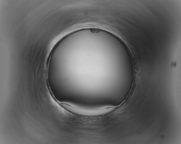 X0000115621527200911241612