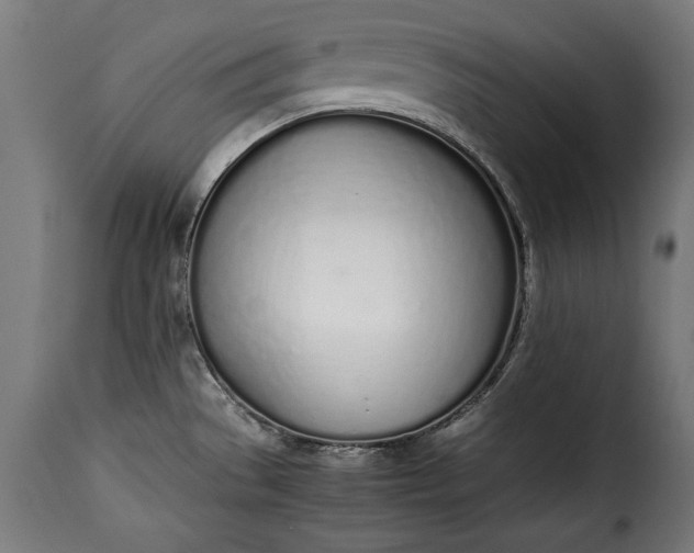 X0000115621529200911241612