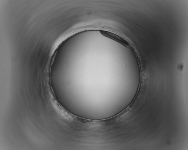 X0000115621530200911241612