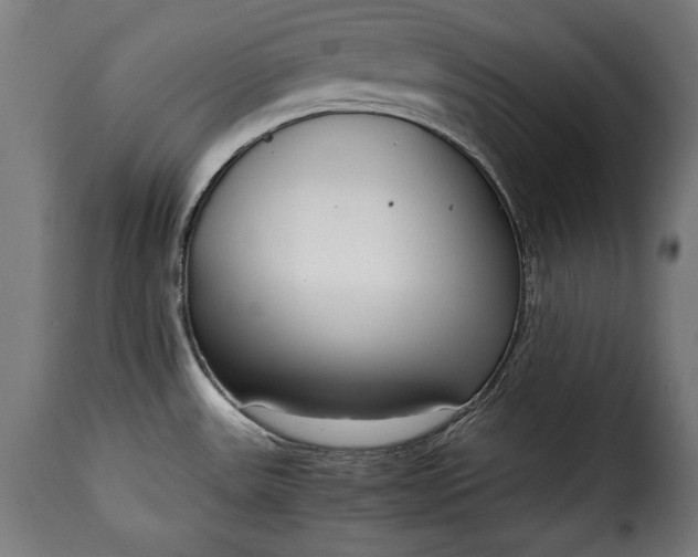 X0000115621531200911241612