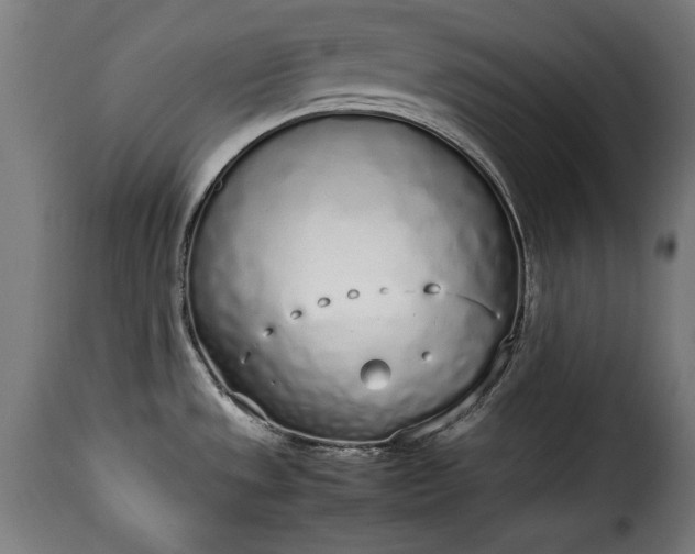 X0000115621533200911241612