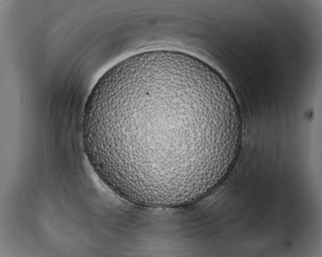 X0000115621534200911241612