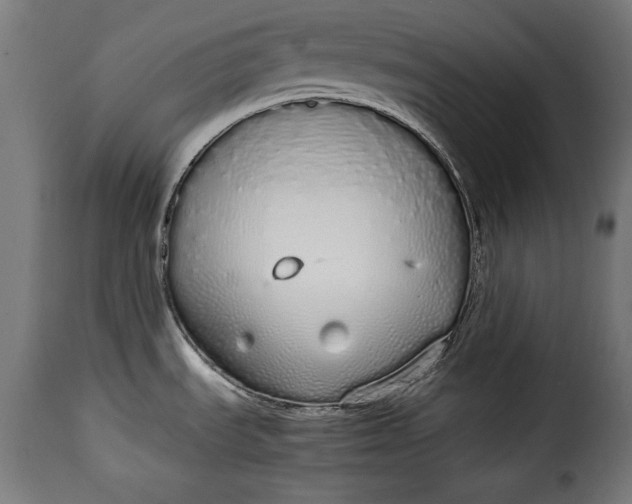 X0000115621535200911241612