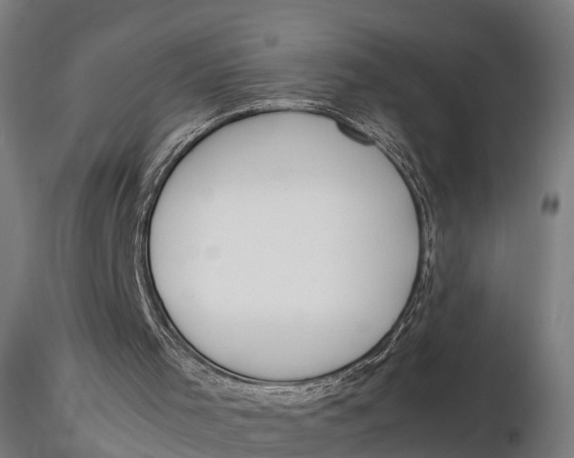 X0000115620001200912011626