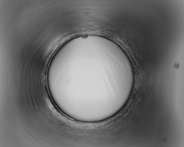 X0000115620002200912011626