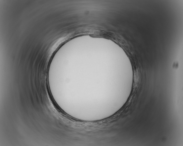 X0000115620003200912011625