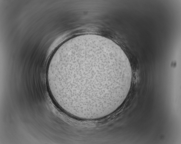 X0000115620004200912011625