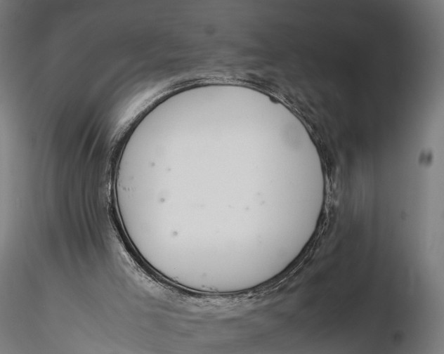 X0000115620005200912011625