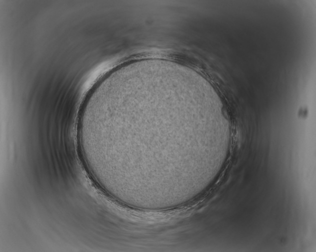 X0000115620006200912011625