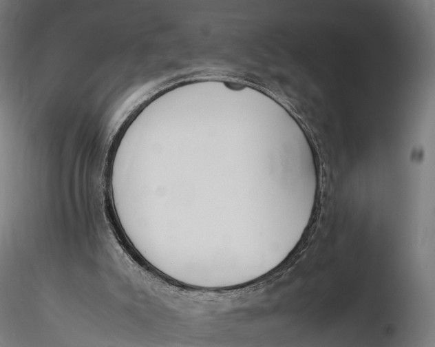 X0000115620007200912011625