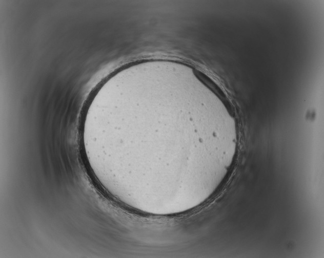 X0000115620008200912011625