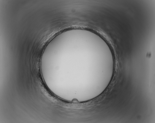 X0000115620009200912011625