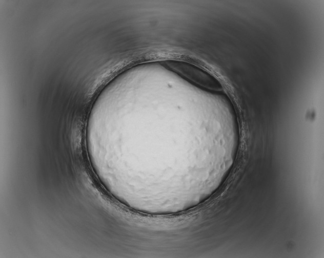 X0000115620010200912011625