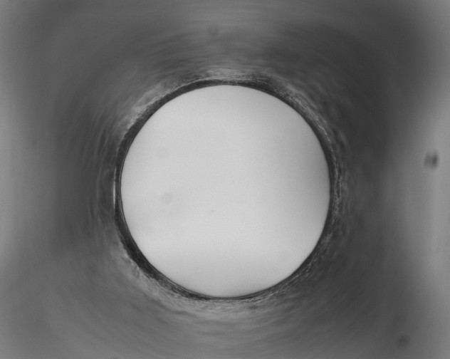 X0000115620011200912011625