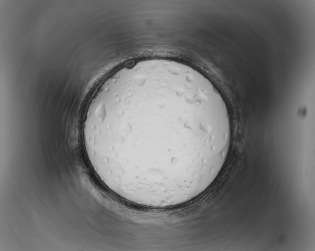 X0000115620012200912011625