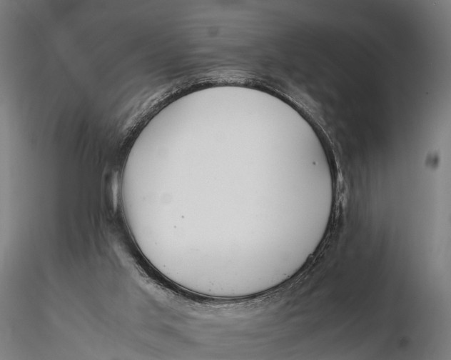 X0000115620013200912011625