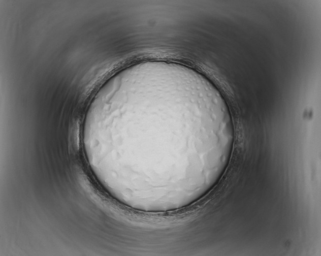 X0000115620014200912011625