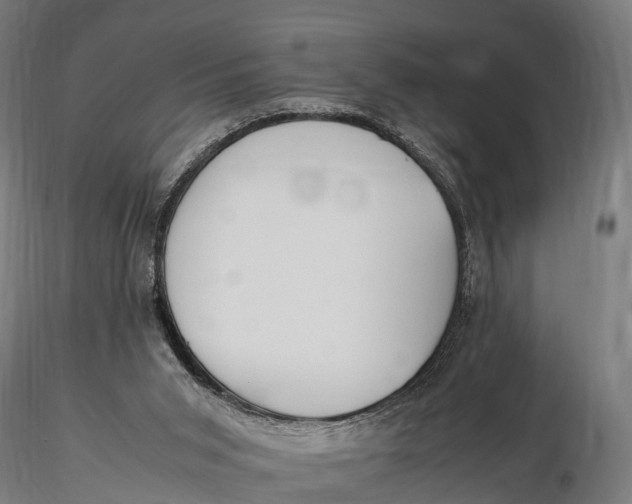 X0000115620015200912011625