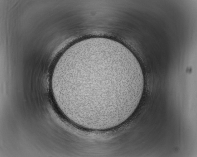 X0000115620016200912011625