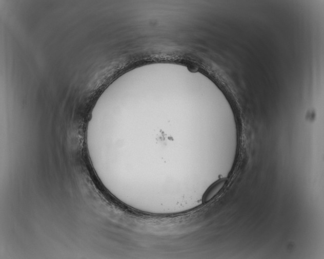 X0000115620017200912011625