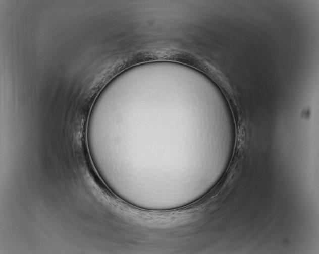 X0000115620018200912011625