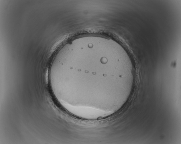 X0000115620019200912011625