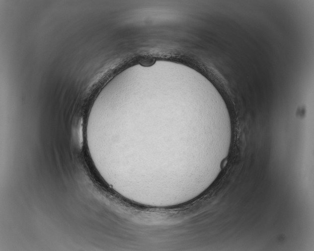 X0000115620020200912011625