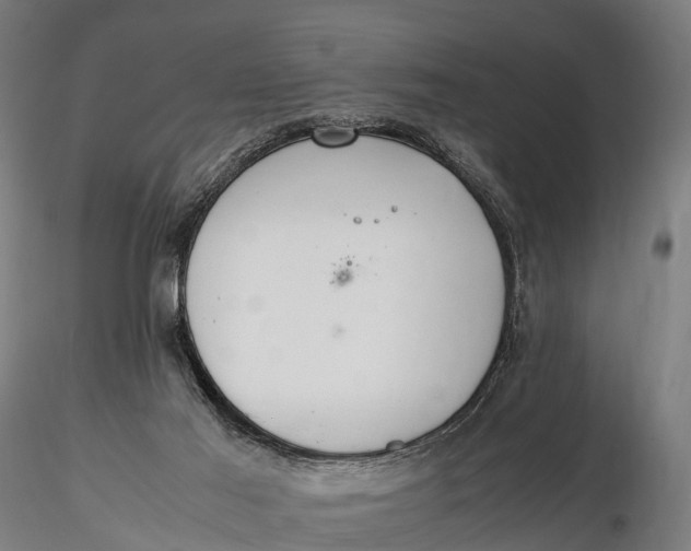 X0000115620021200912011625