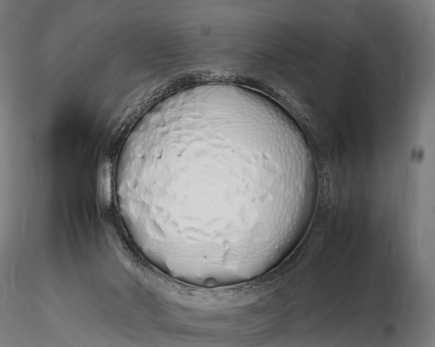 X0000115620022200912011625