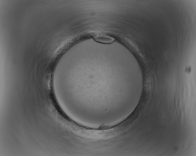 X0000115620023200912011625