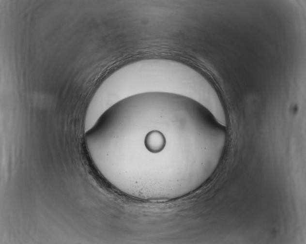 X0000115620025200912011625